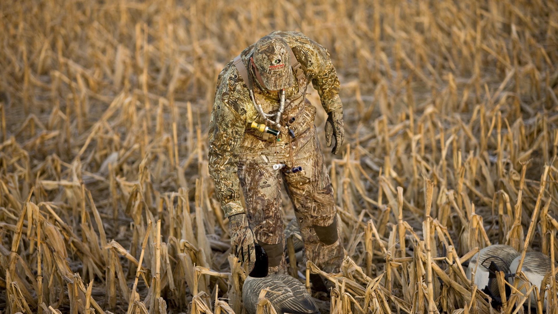 Duck Camo Backgrounds