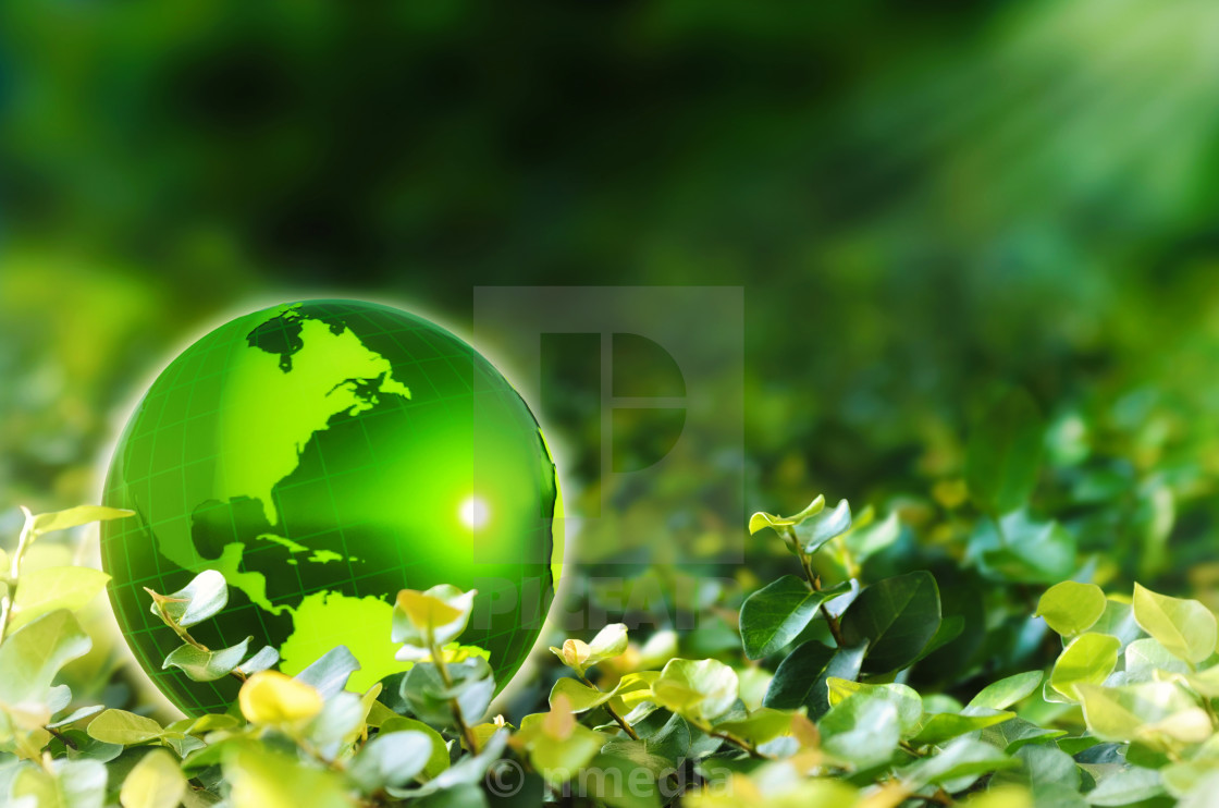 Earth Green Background