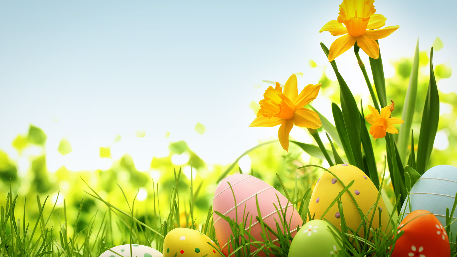 Easter 2016 Backgrounds