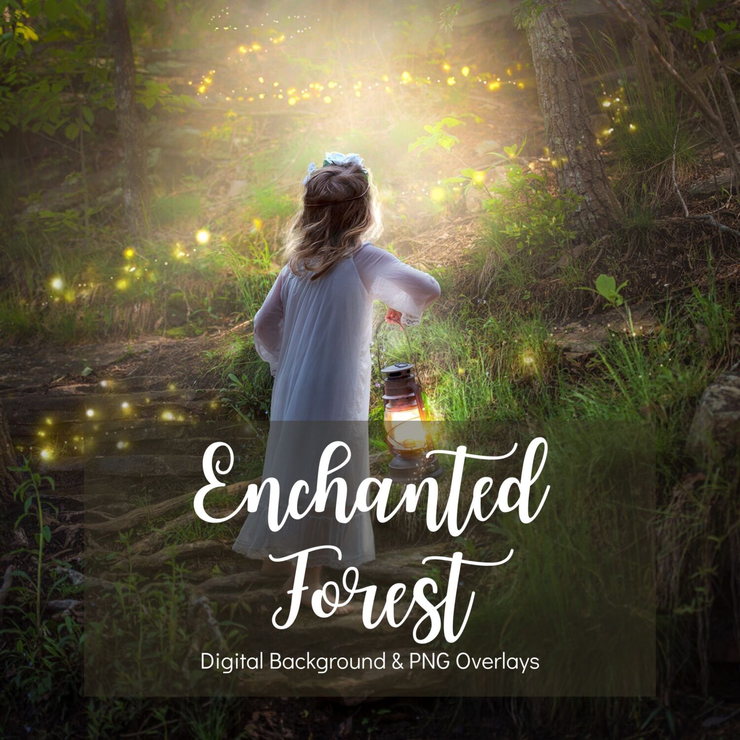 Enchanted Backgrounds