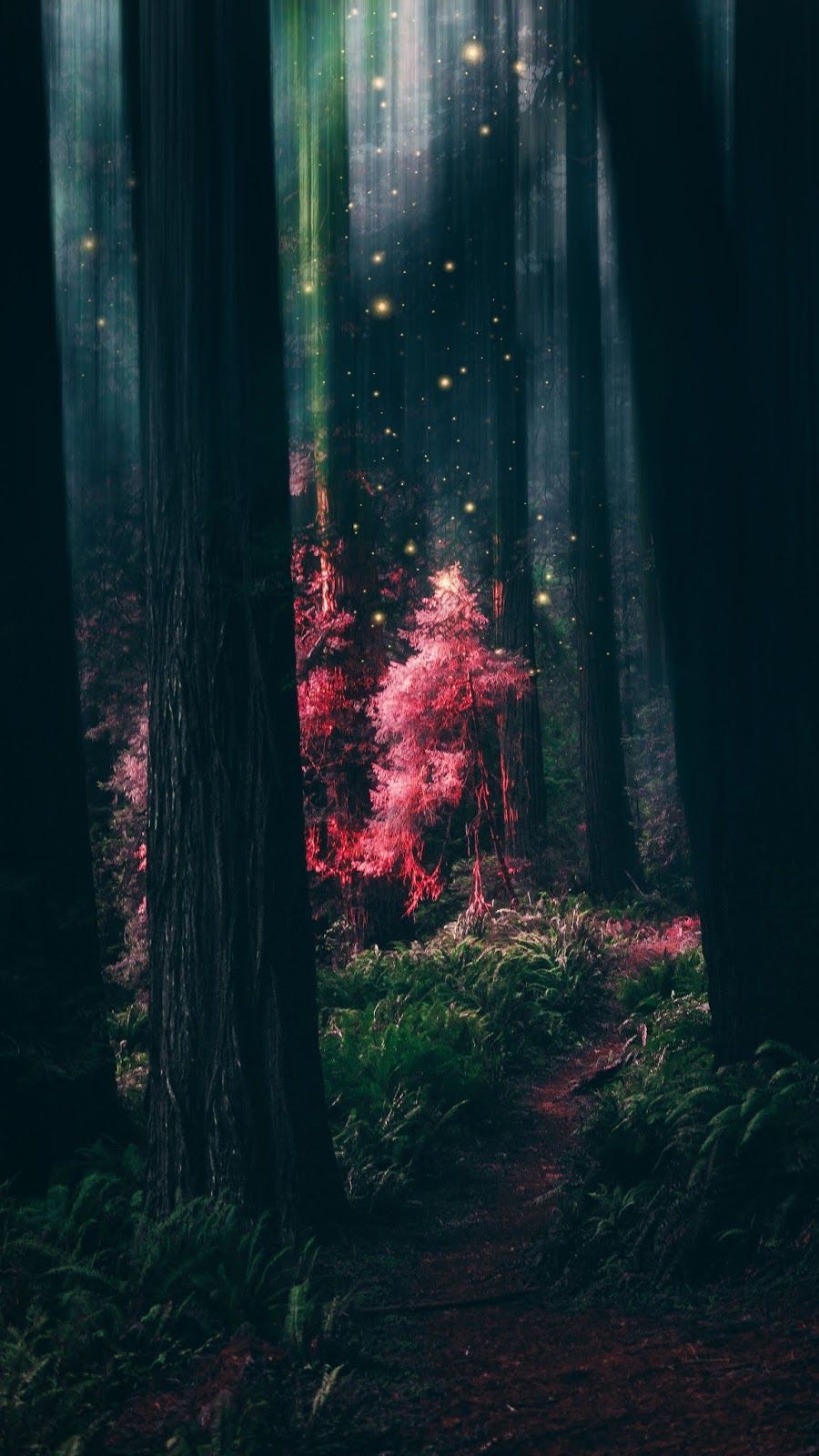 Enchanted Forest Background Tumblr