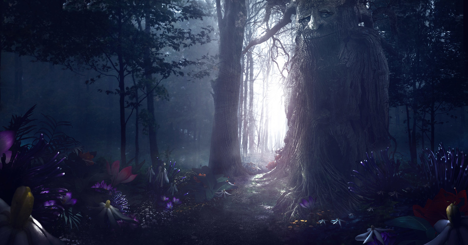 Enchanted Forest Background Tumblr