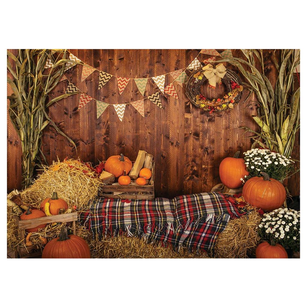 Fall Backgrounds Photography