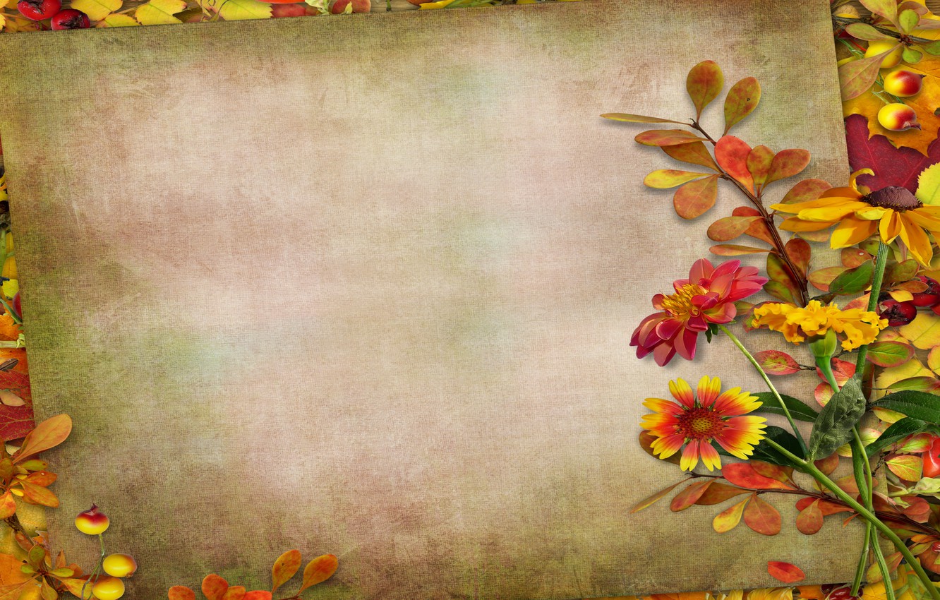 Fall Flowers Desktop Backgrounds