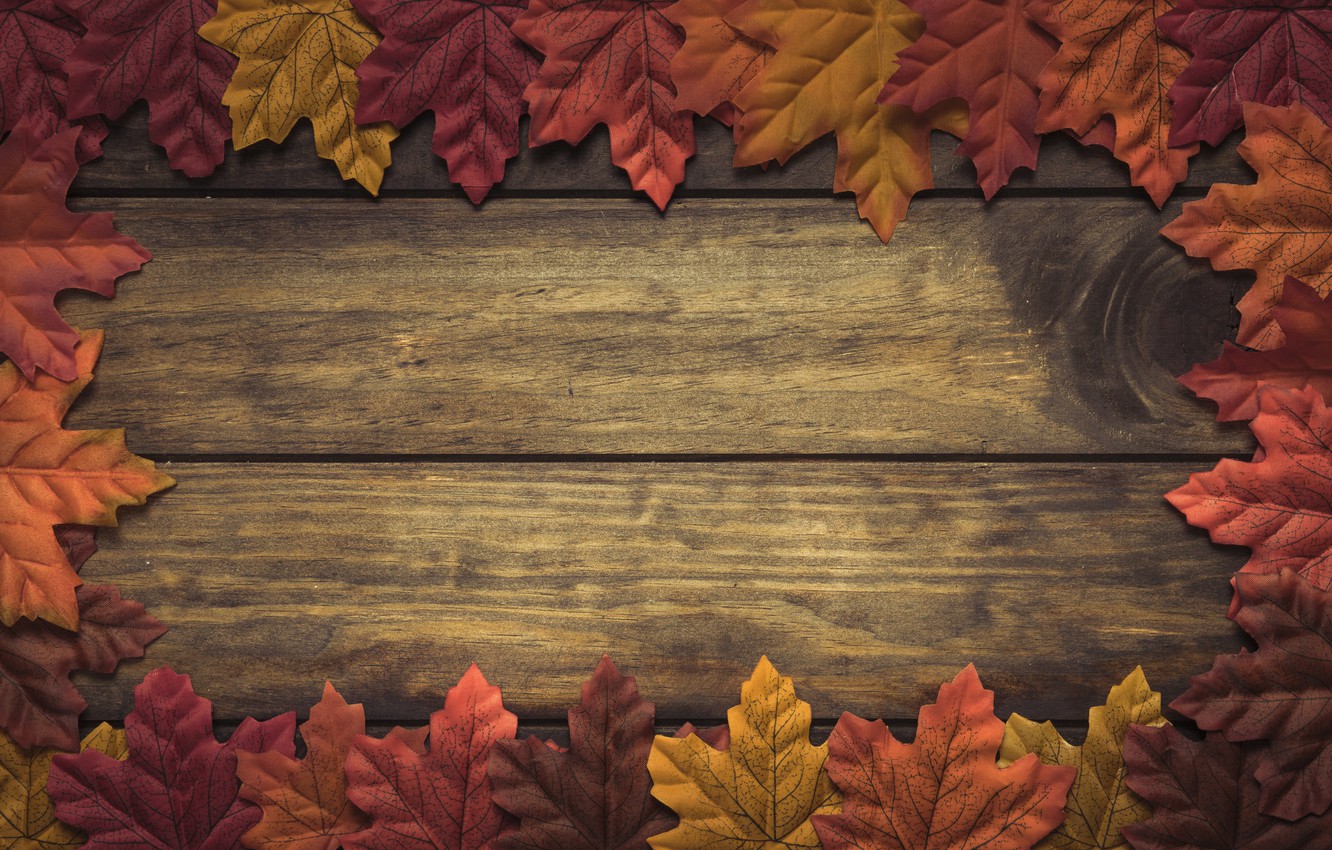 Fall Wood Background