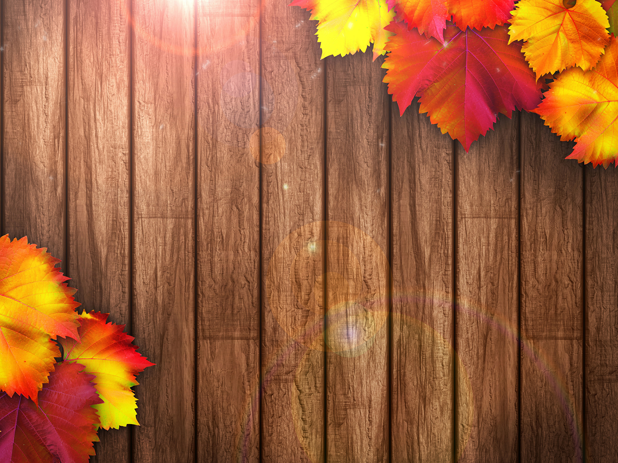 Fall Wood Background