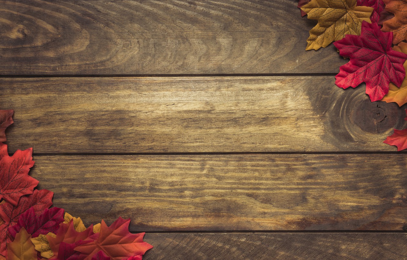 Fall Wood Background