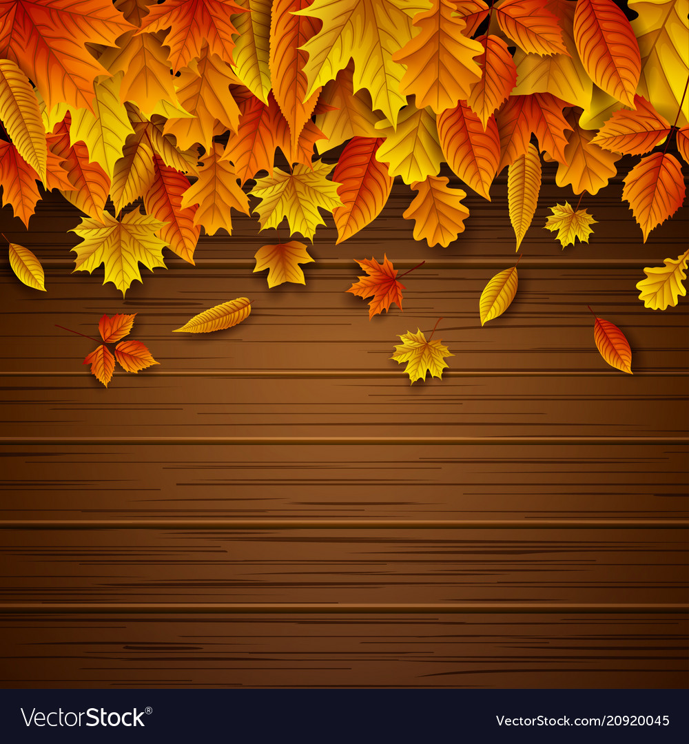 Fall Wood Background