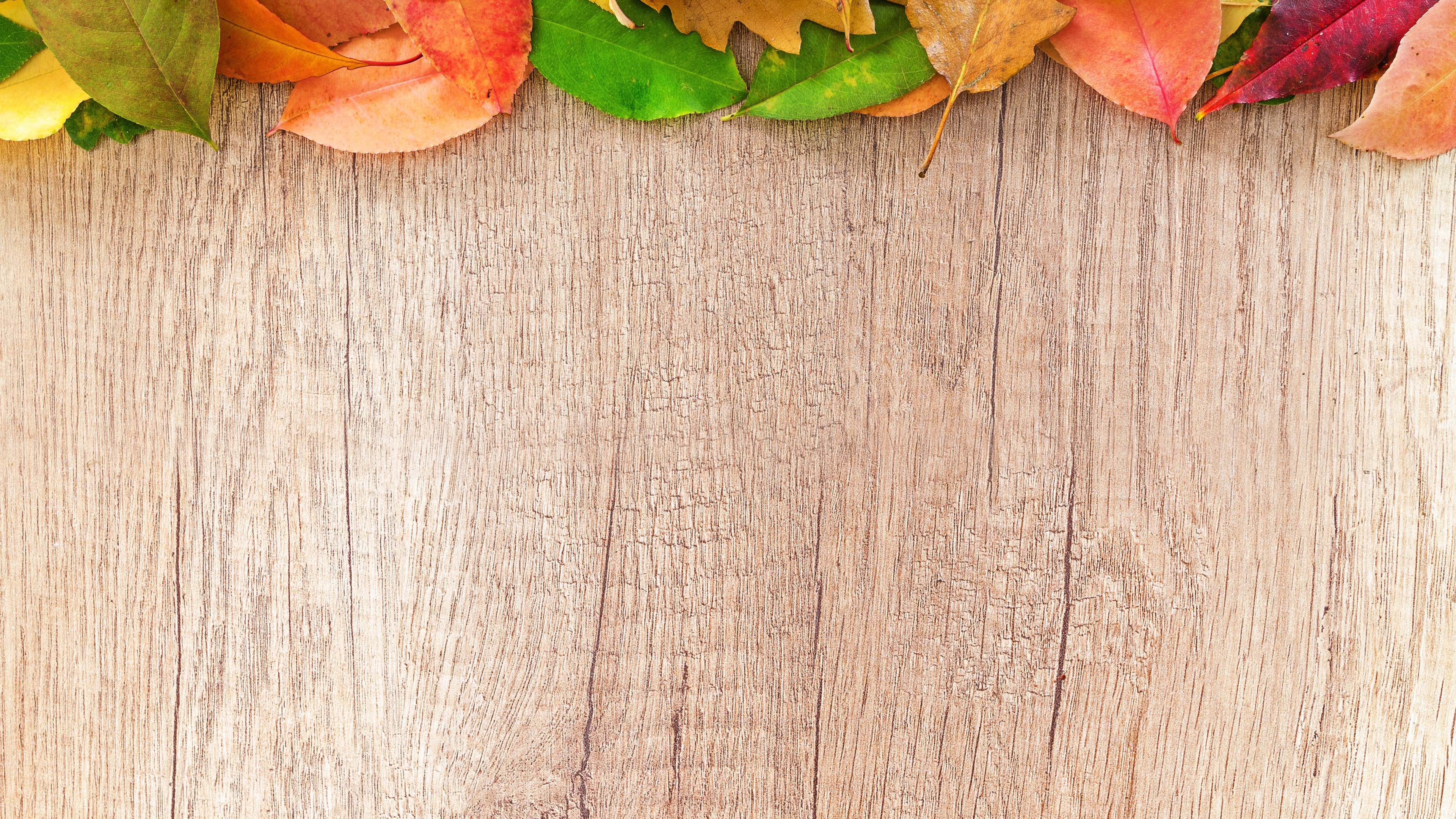 Fall Wood Background