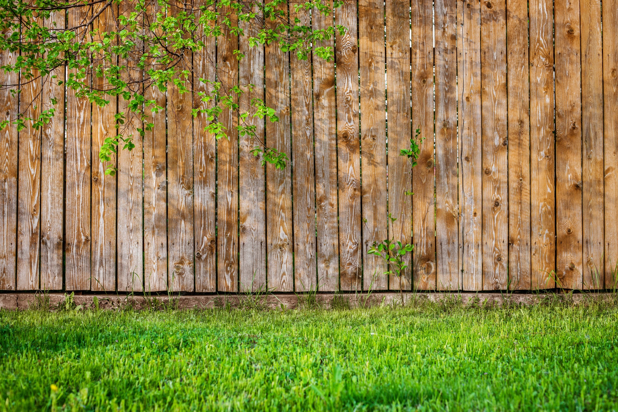 Fence Background