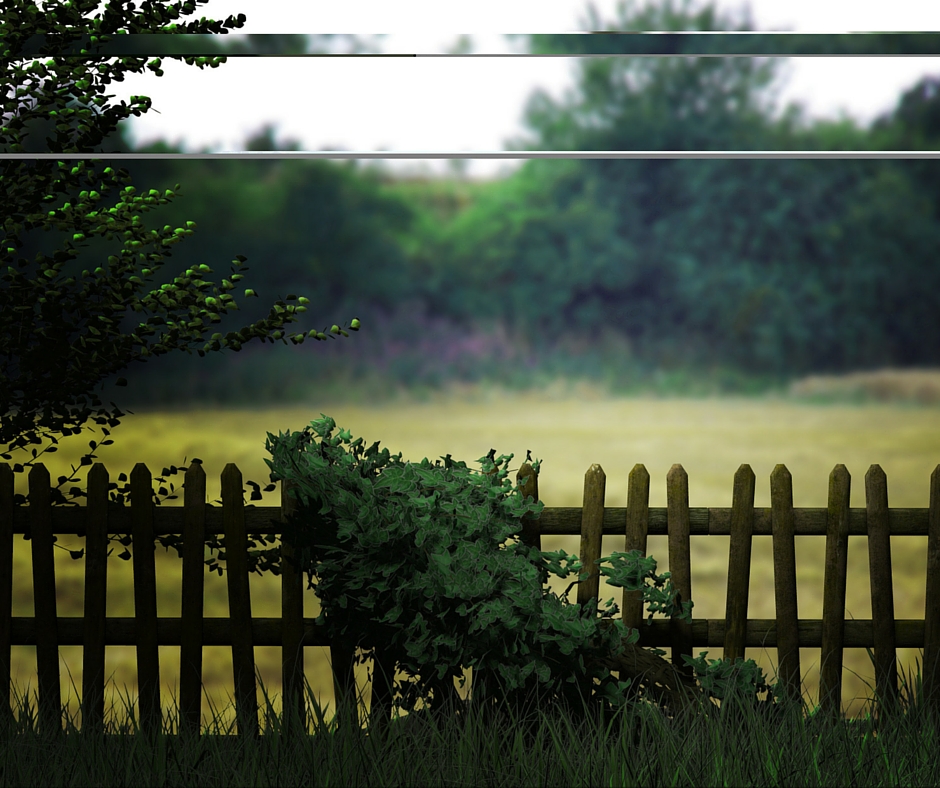 Fence Background