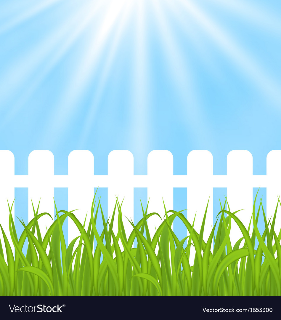 Fence Background