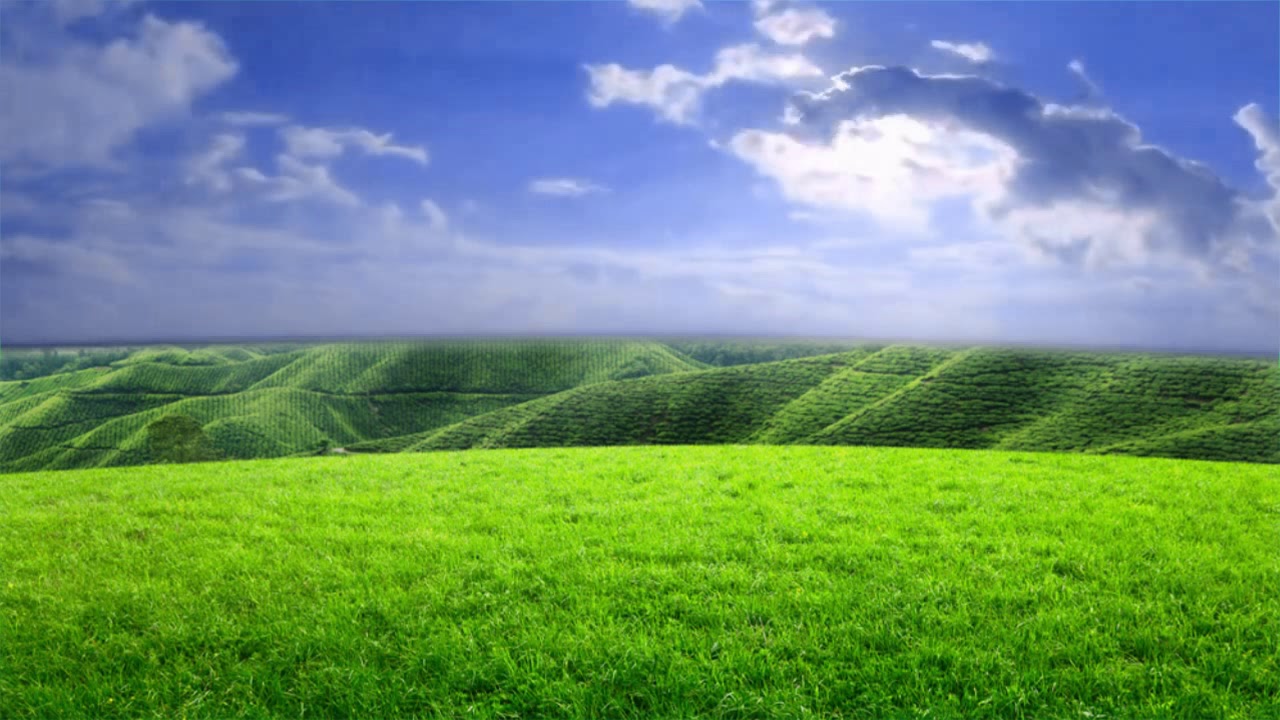 Field And Sky Background