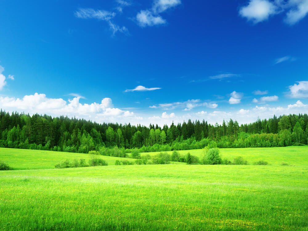 Field And Sky Background