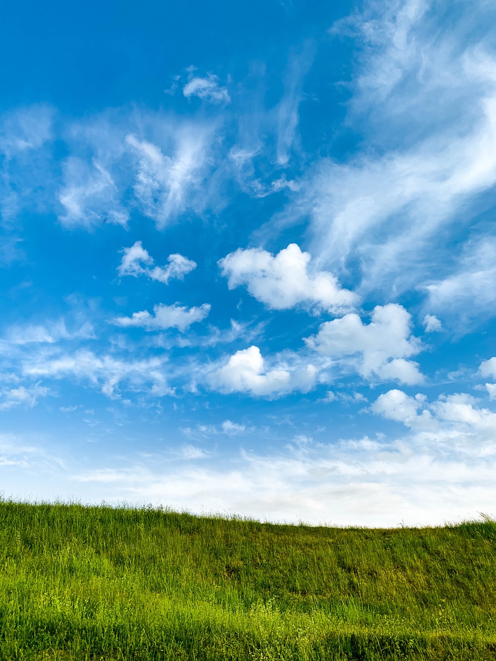 Field And Sky Background