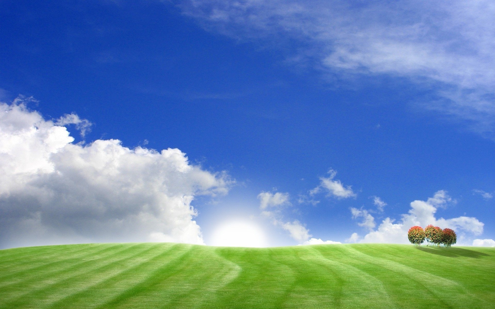 Field And Sky Background