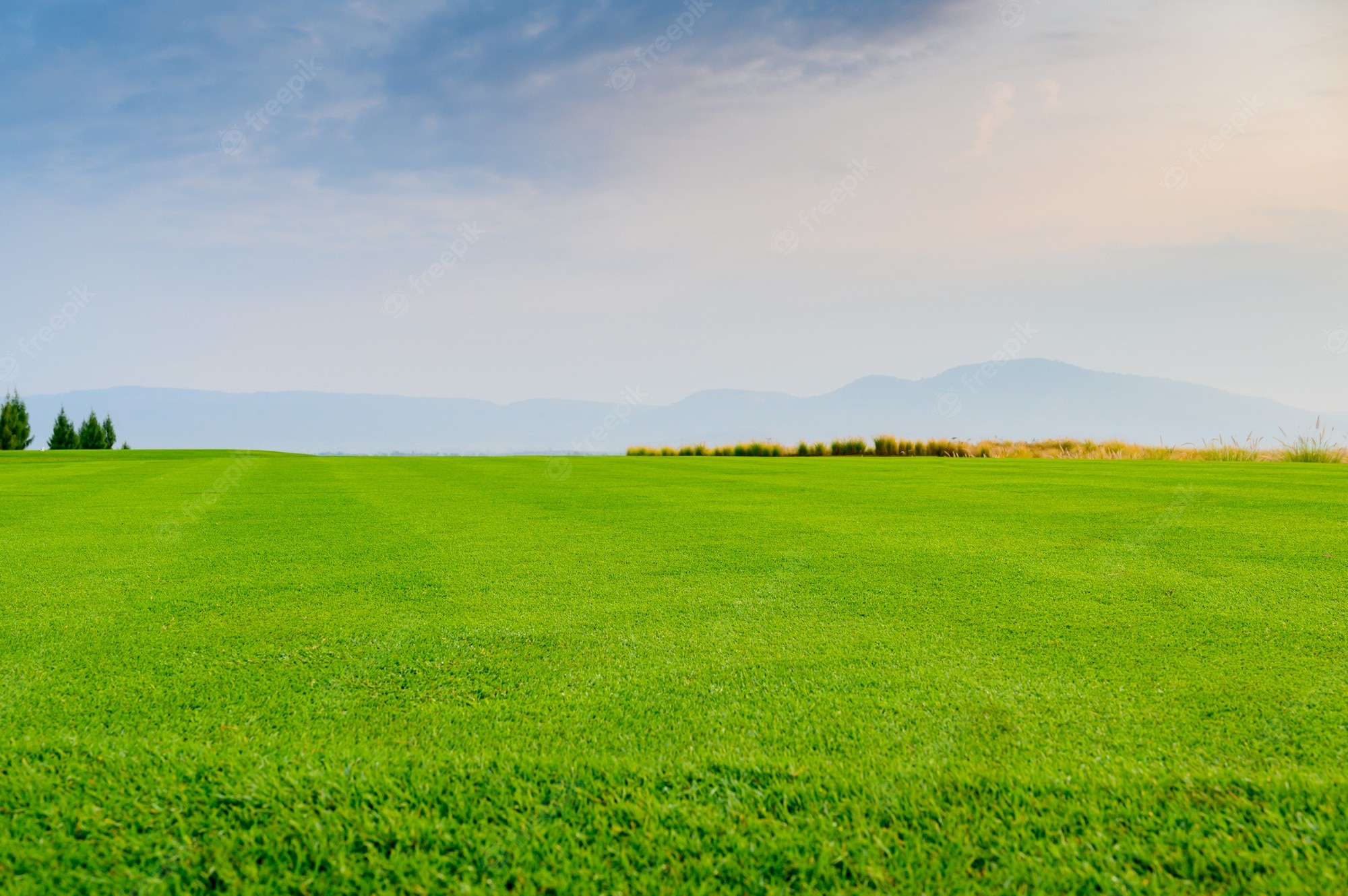 Field And Sky Background