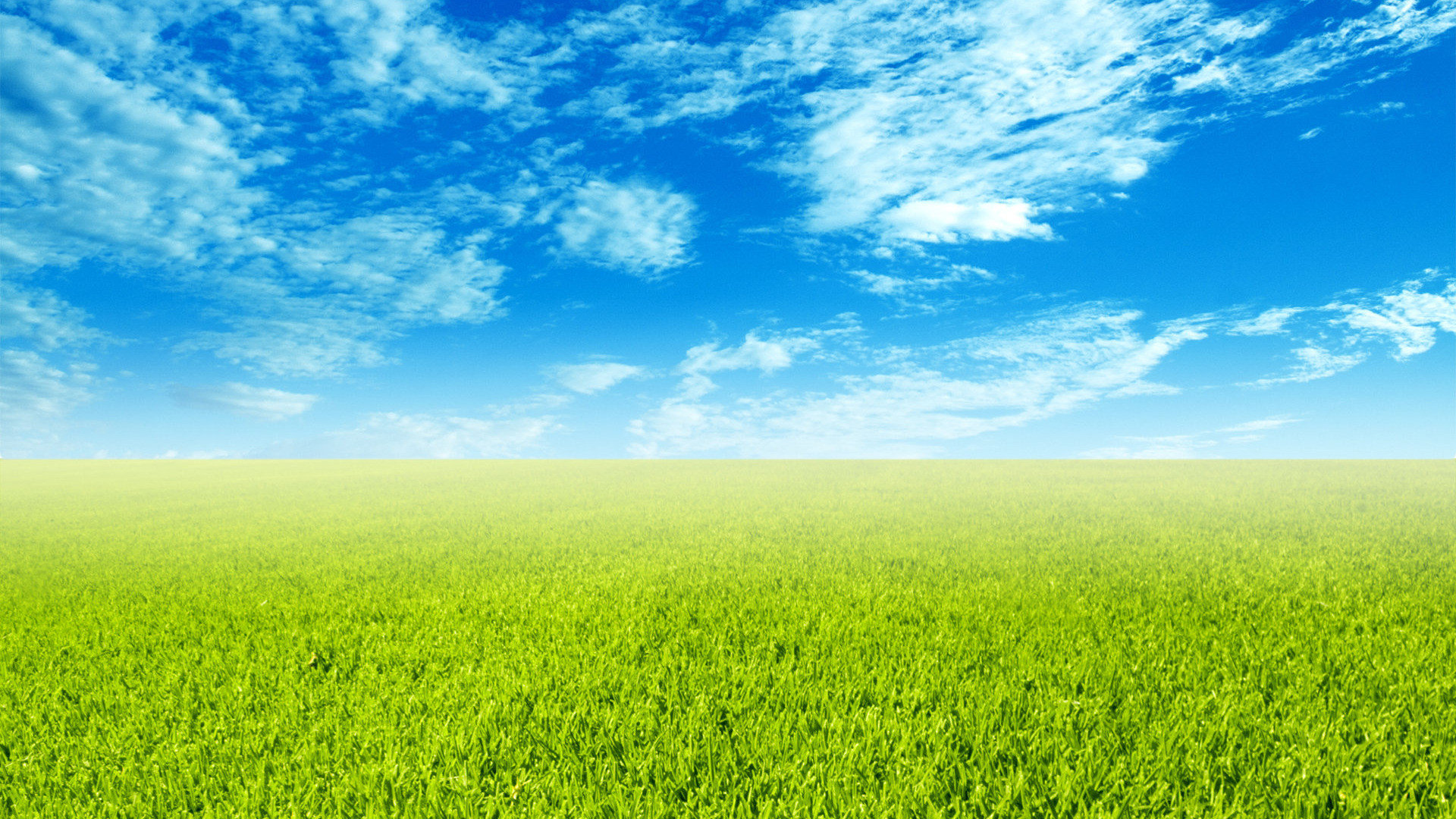 Field And Sky Background