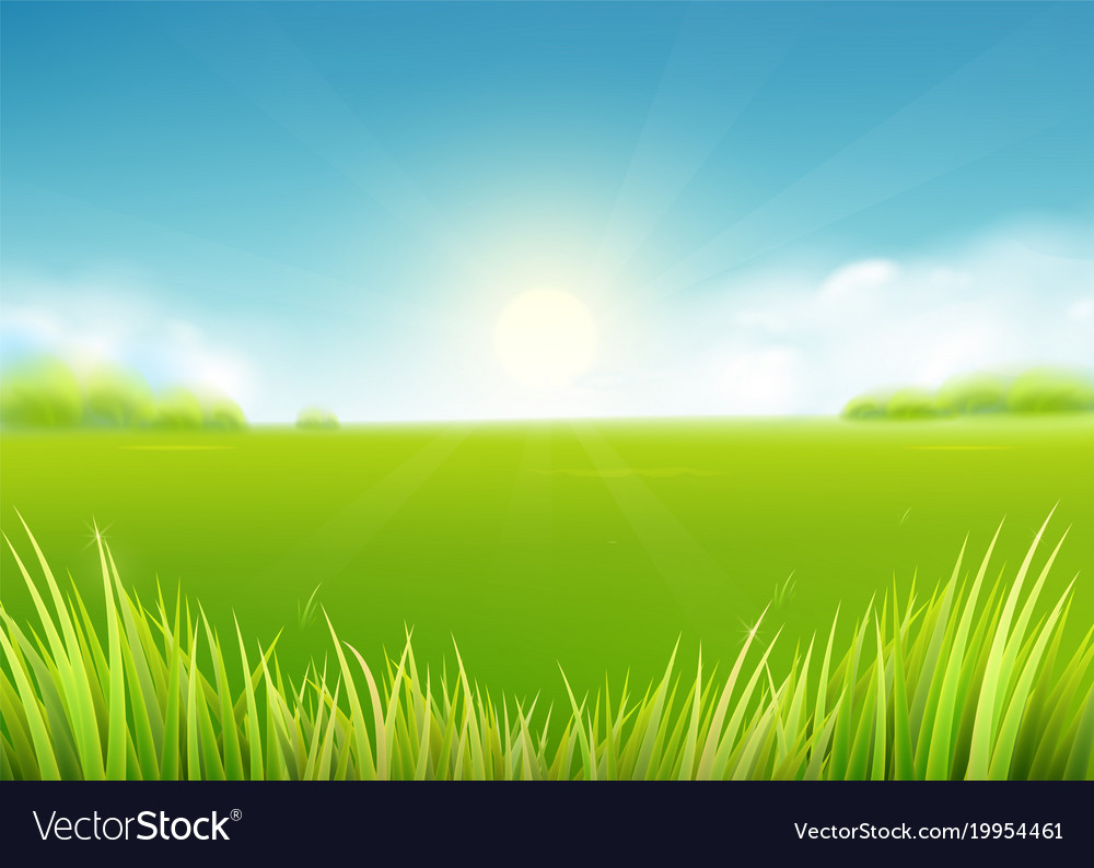 Field Background