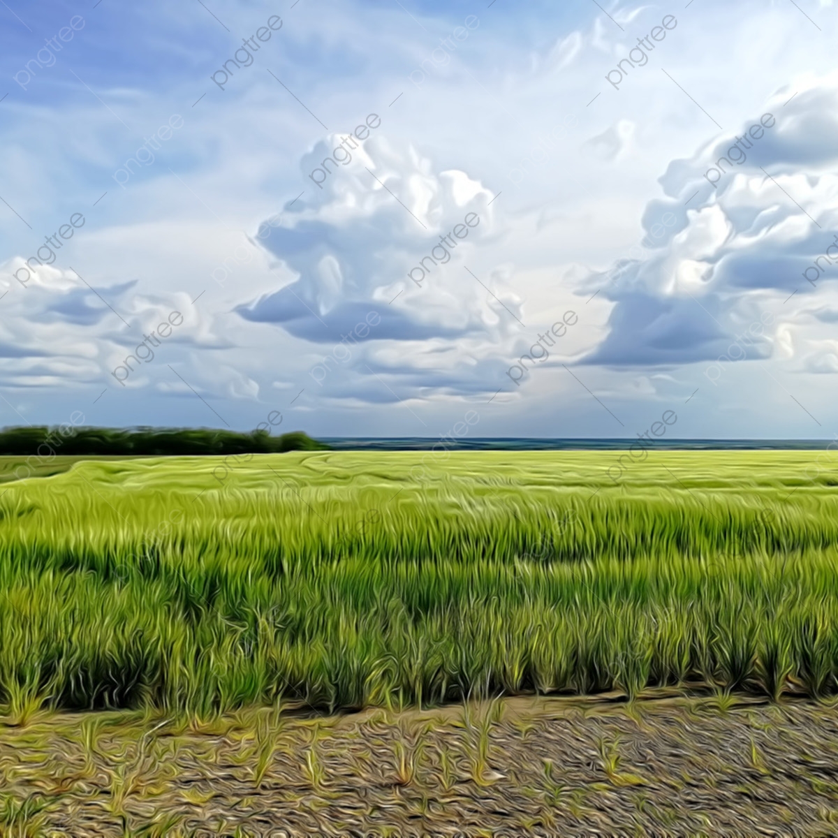 Field Background