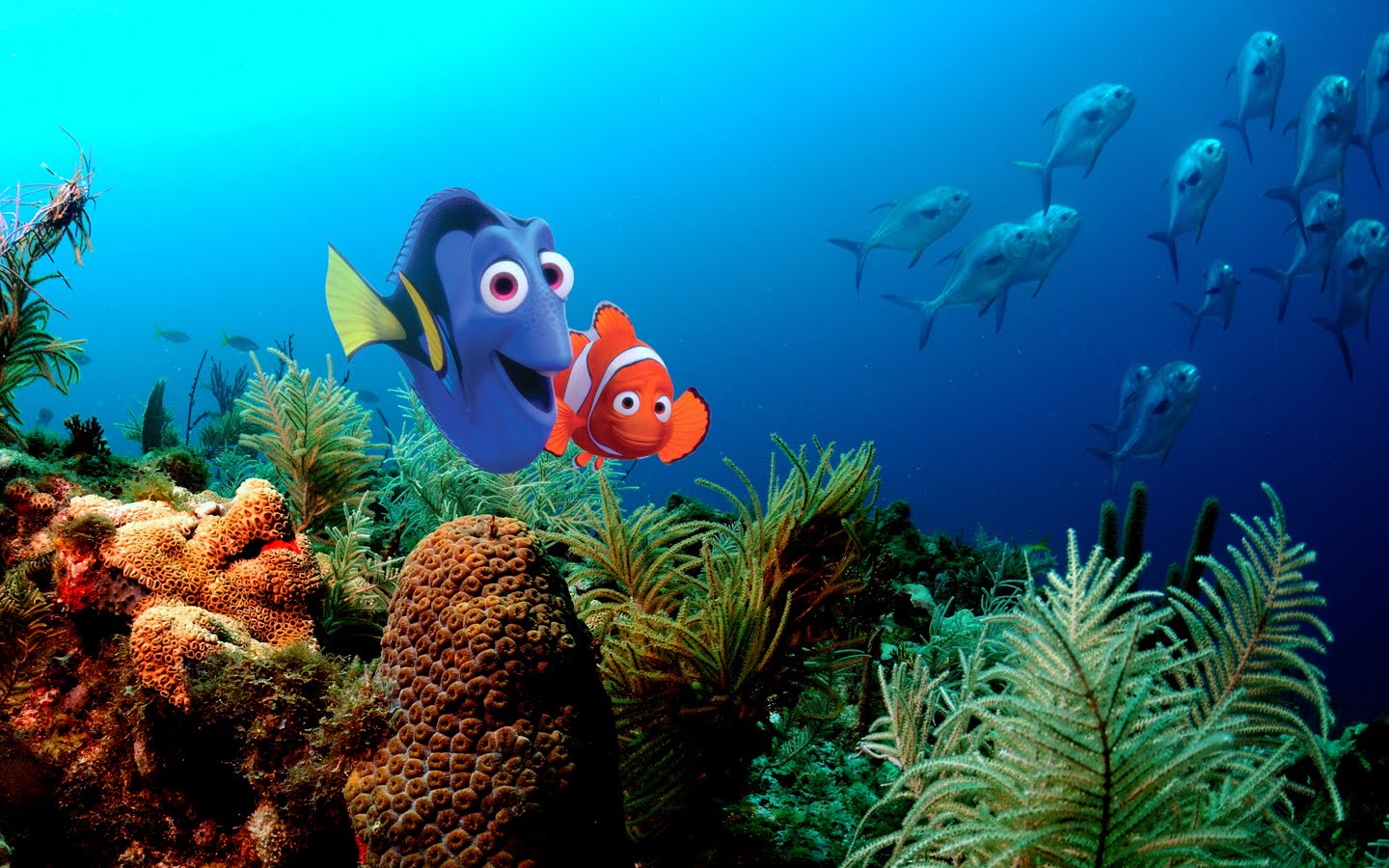 Finding Dory Background