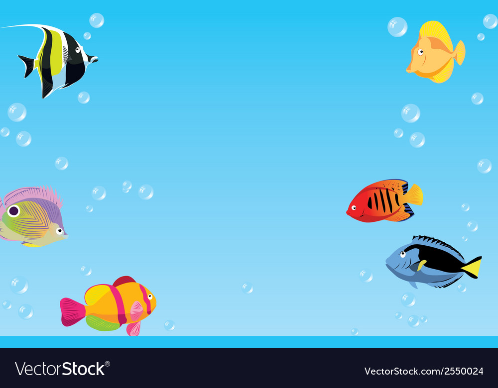 Fish Background