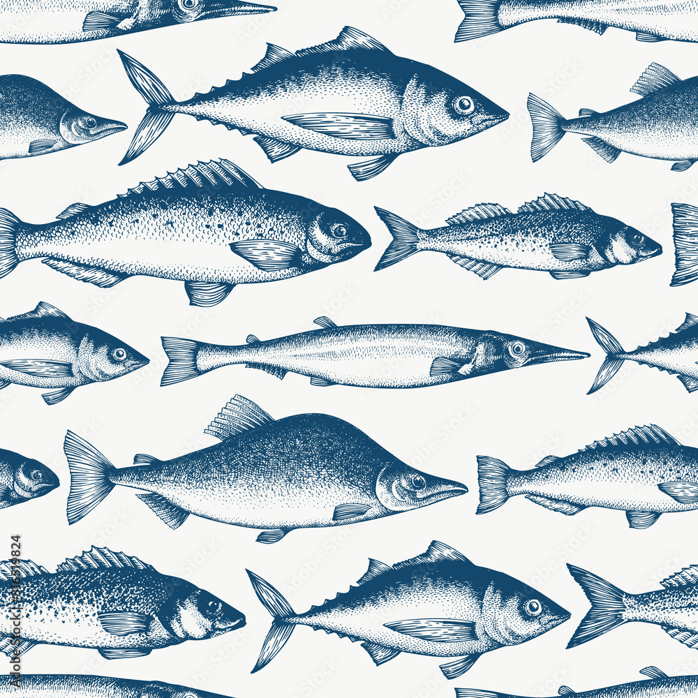 Fish Background