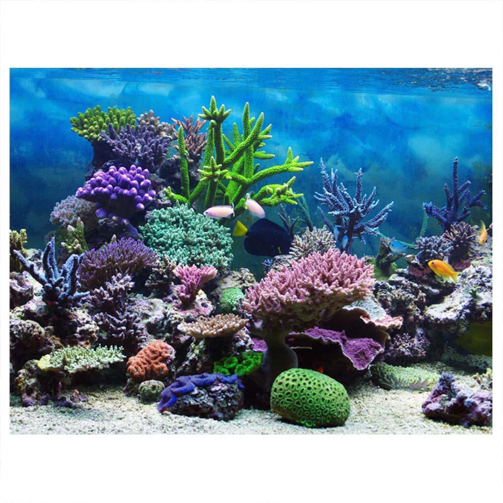 Fish Tank Background