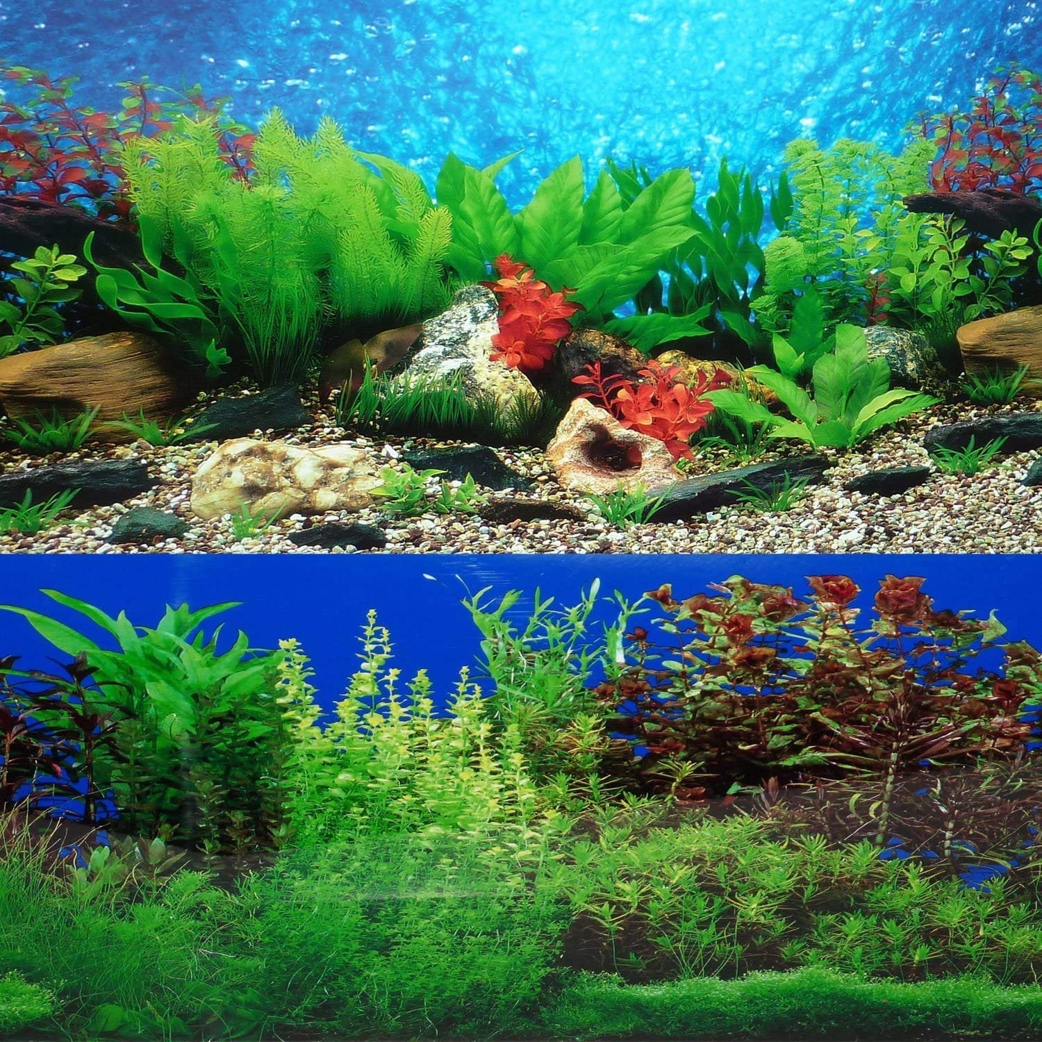 Fish Tank Background