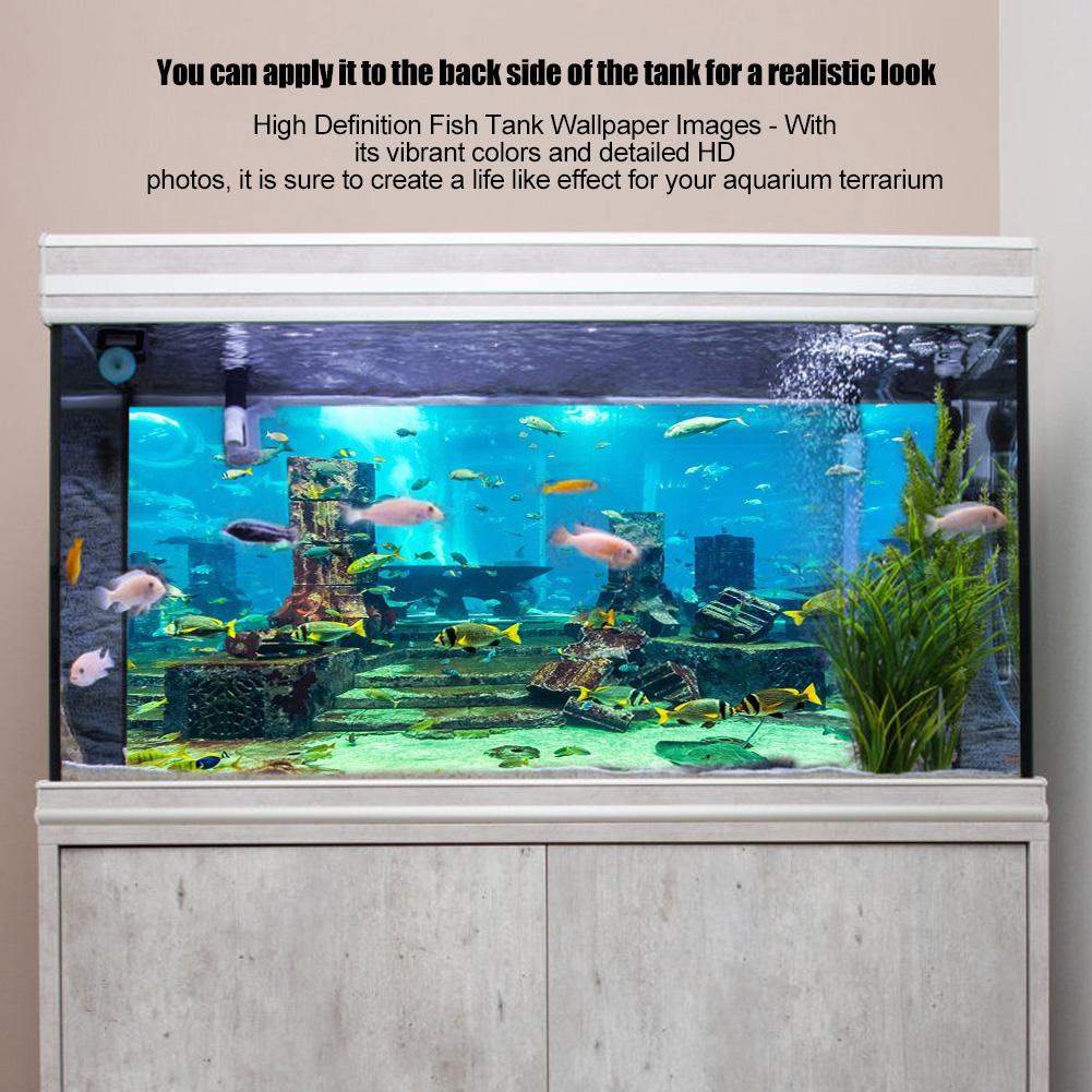 Fish Tank Background