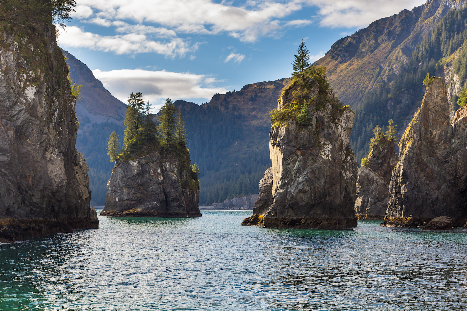 Fjord Background