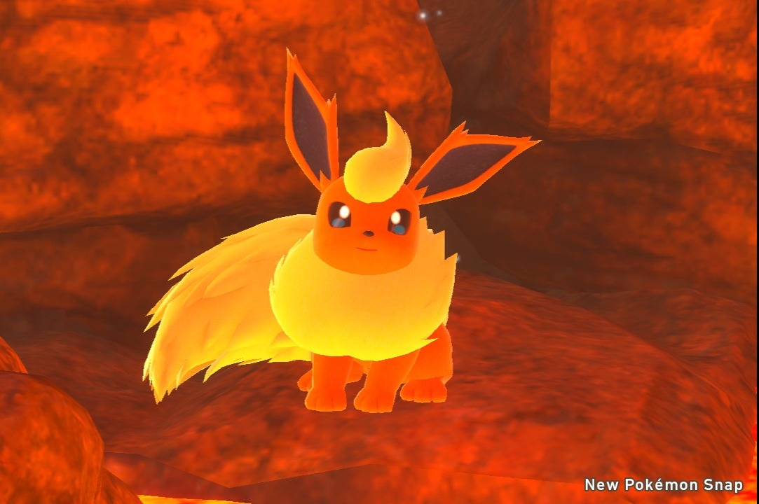 Flareon Background