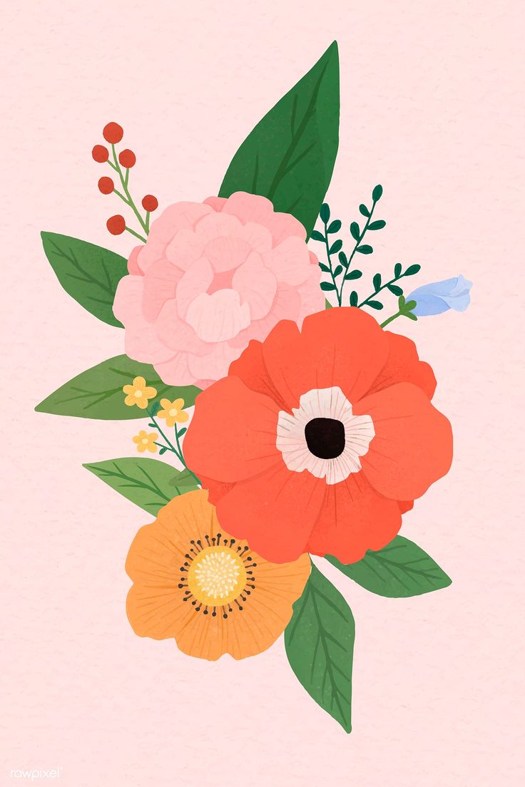 Floral Illustration Background
