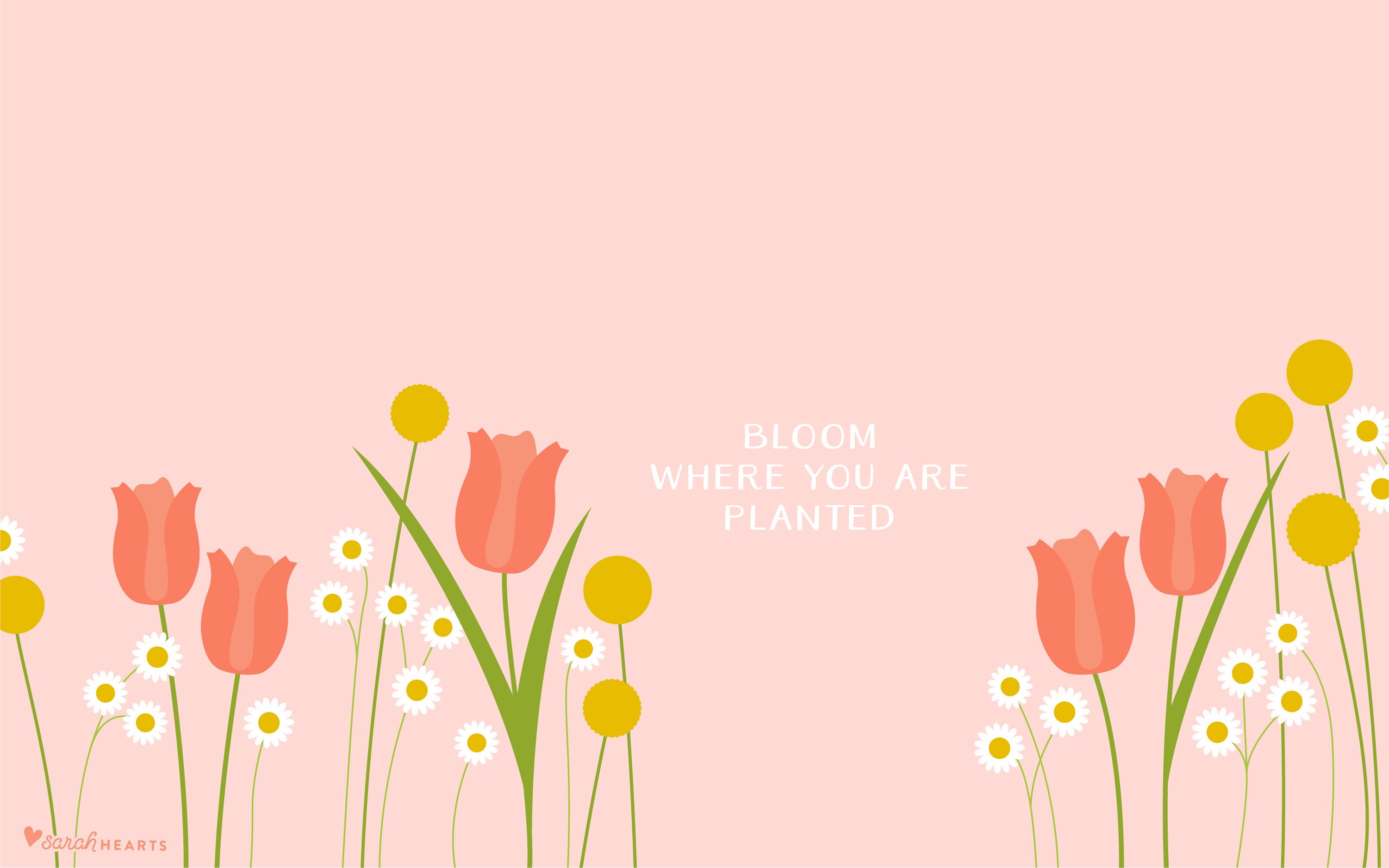 Floral Laptop Backgrounds