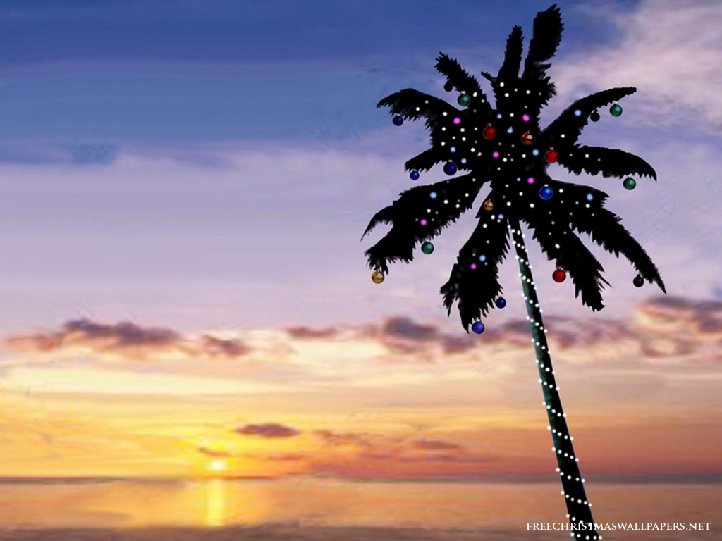 Florida Christmas Background