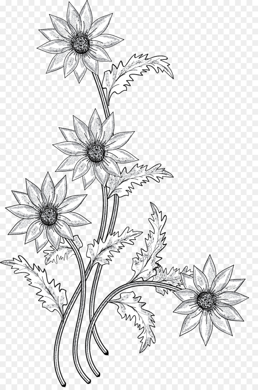 Flower Drawing Background