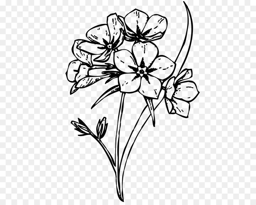 Flower Drawing Background