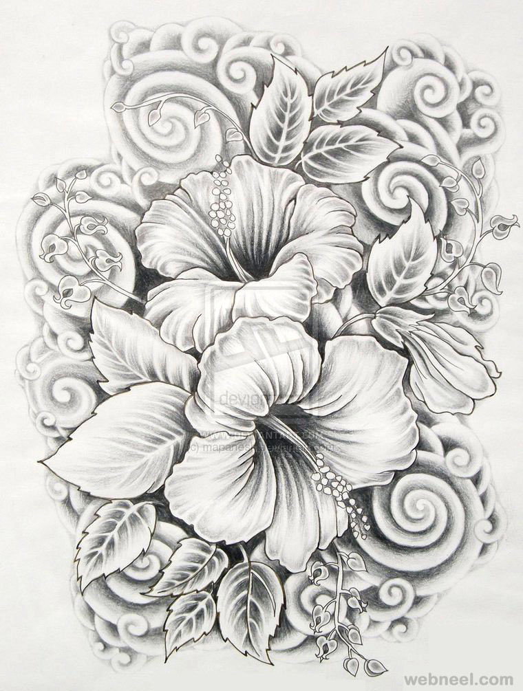 Flower Drawing Background