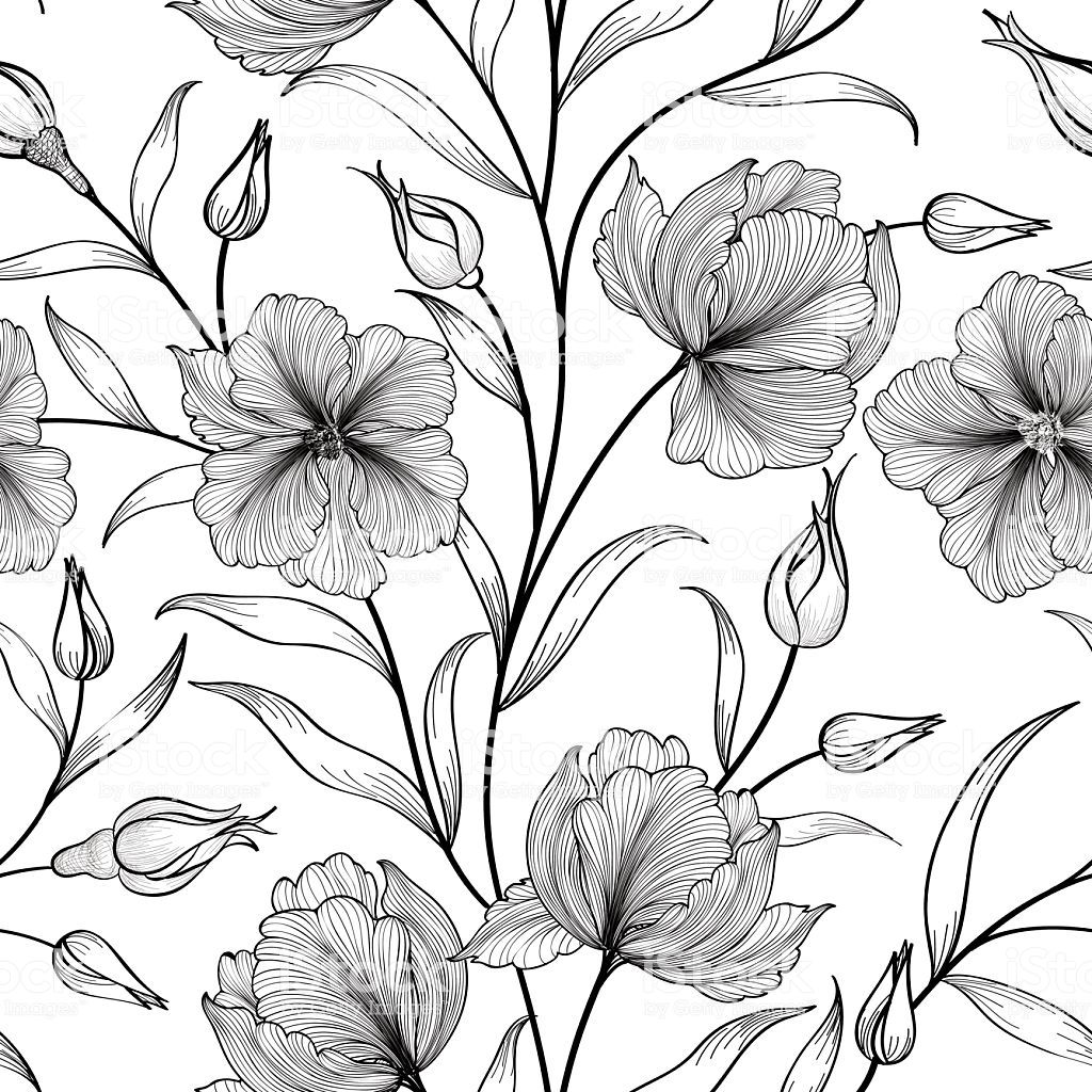 Flower Drawing Background