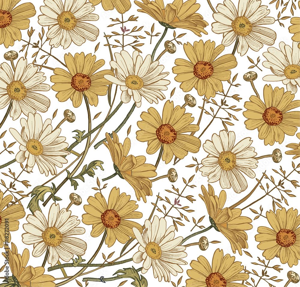 Flower Drawing Background