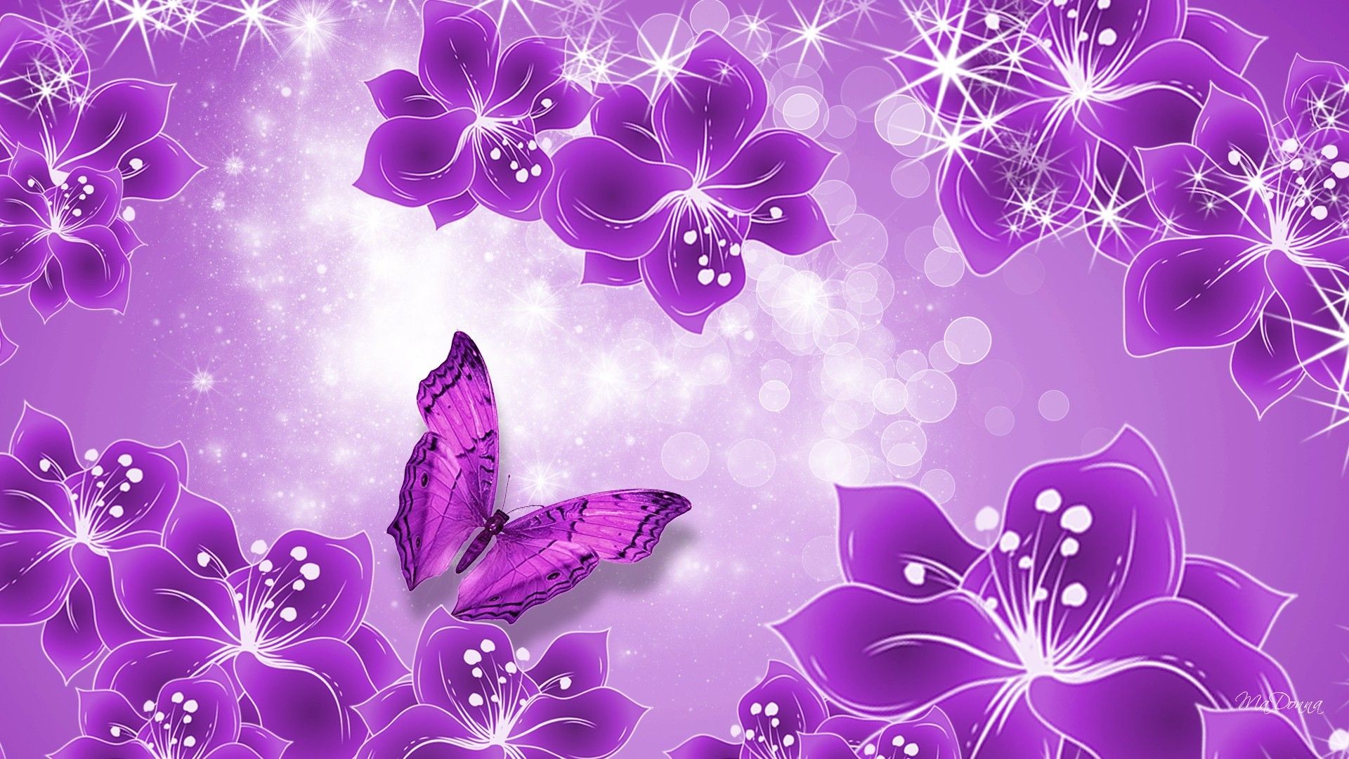 Flower Purple Background