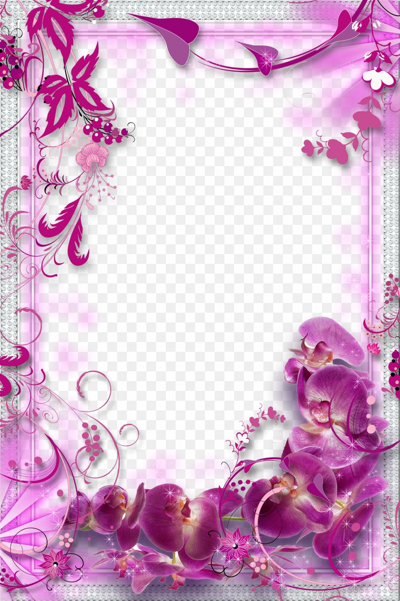 Flower Purple Background