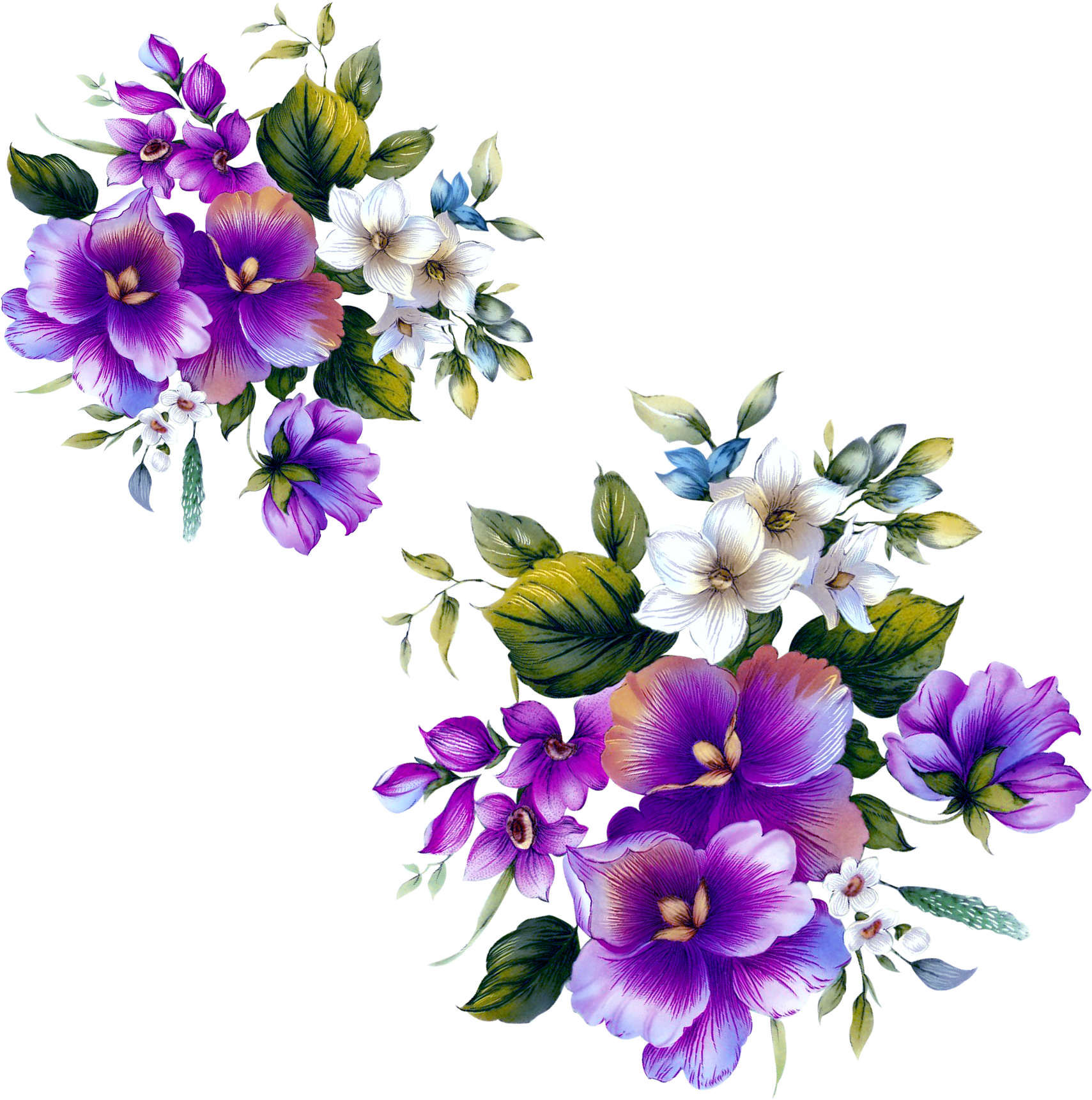 Flower Purple Background