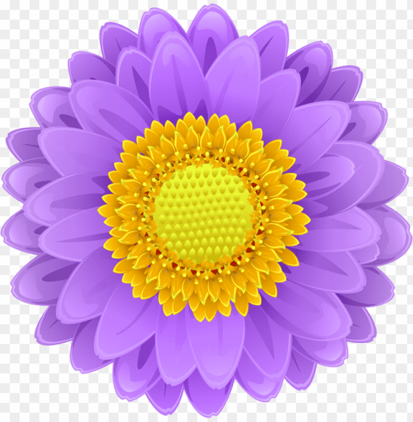 Flower Purple Background