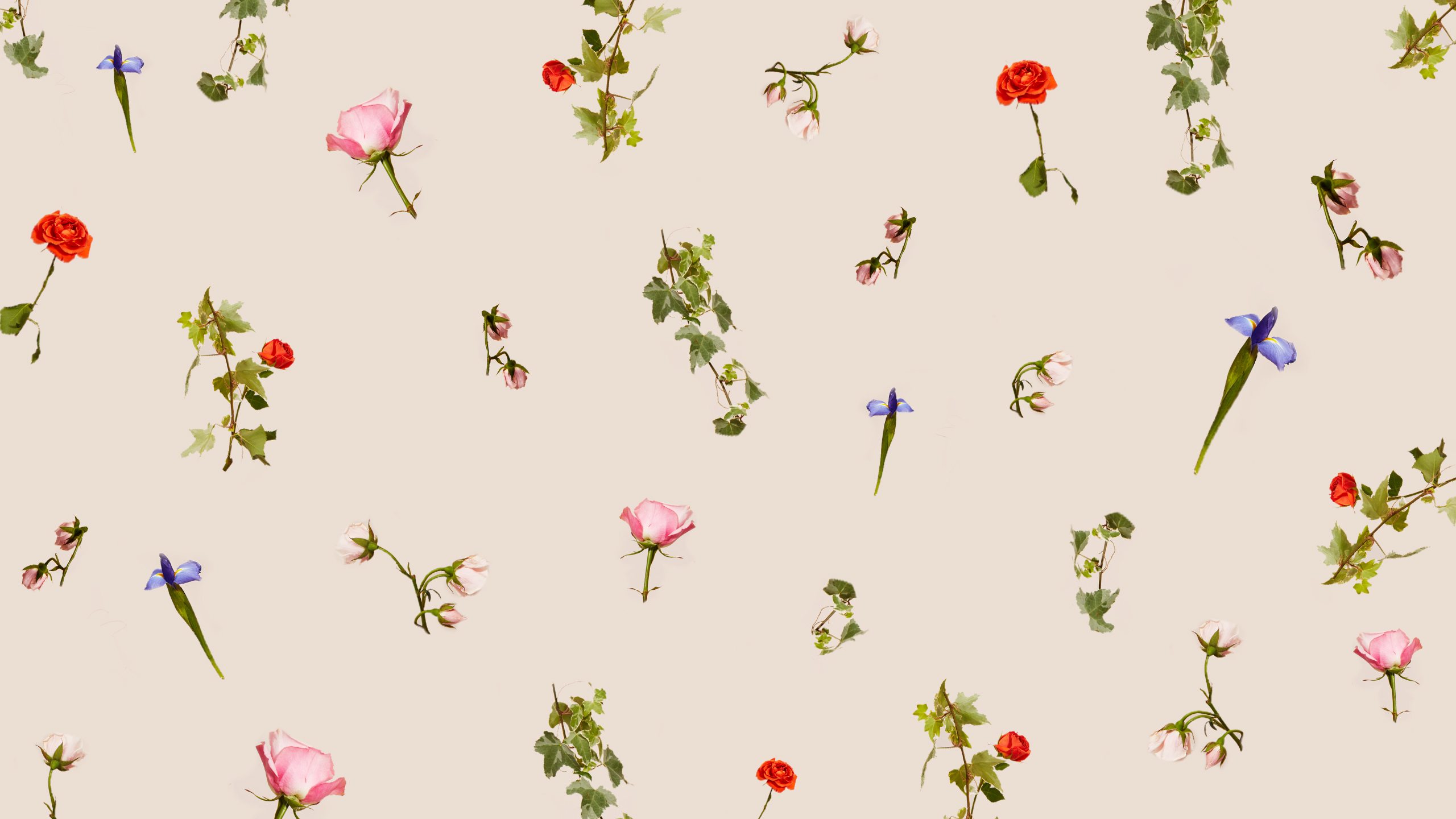 Flower Zoom Background