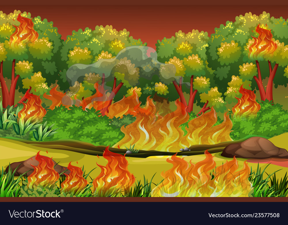 Forest Fire Background