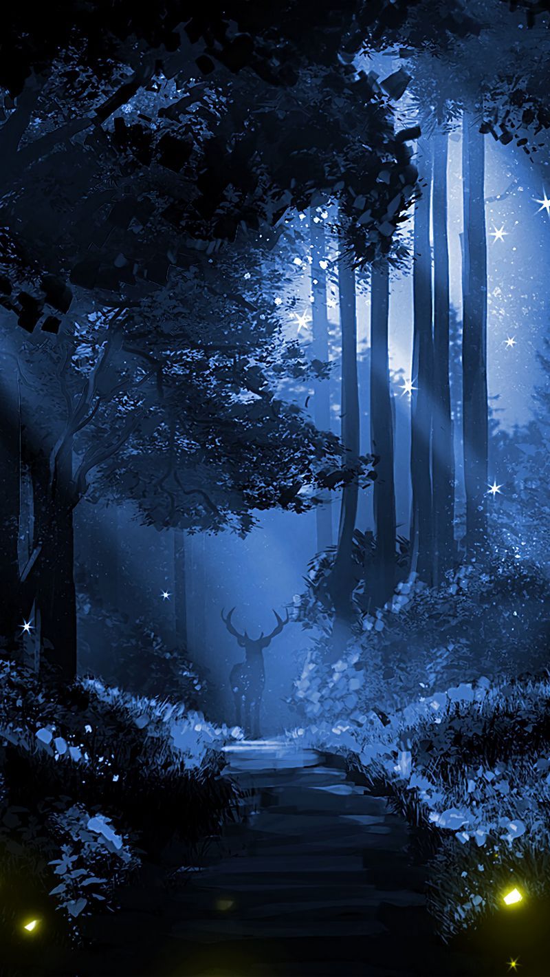 Forest Phone Background