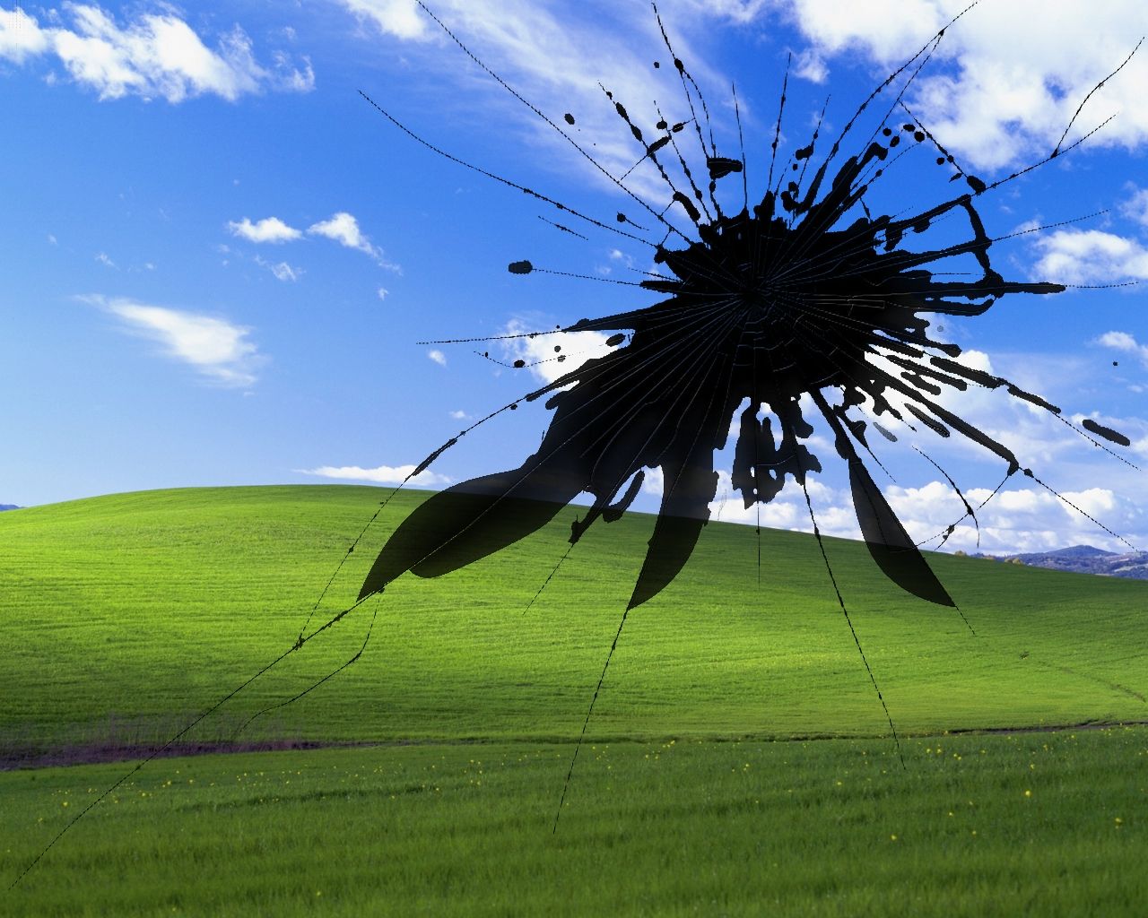 Funny Windows Background