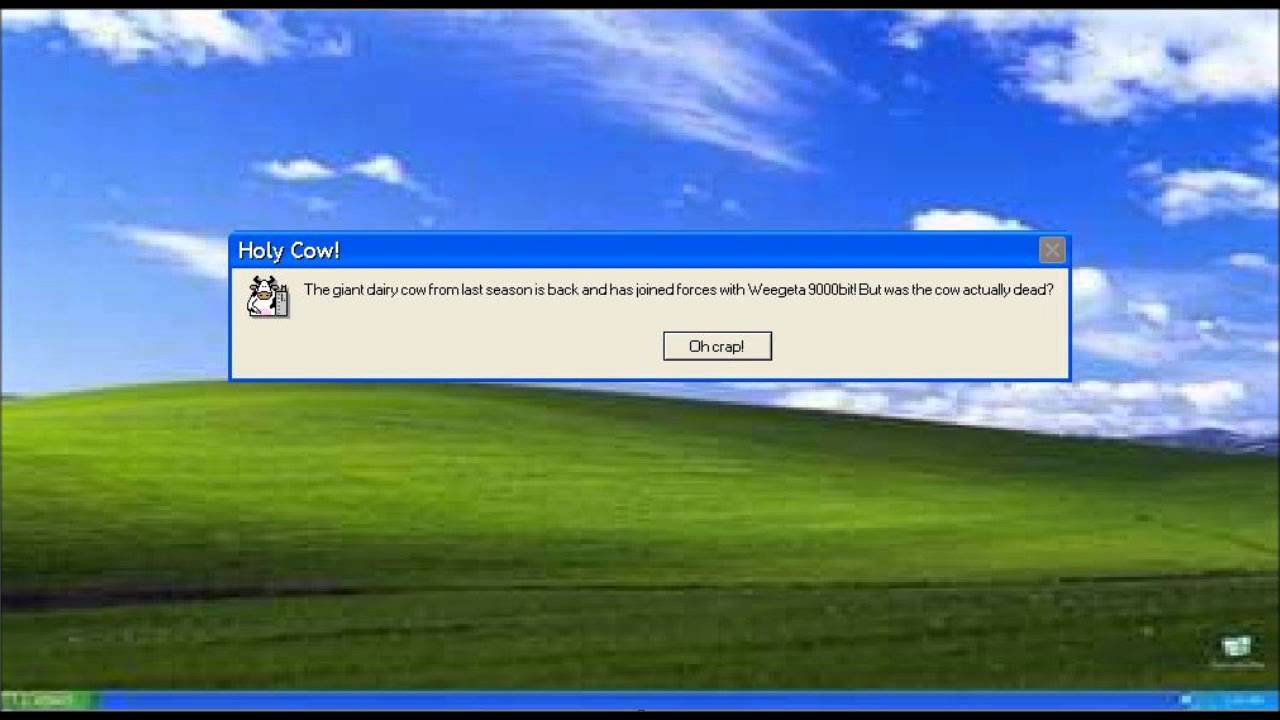 Funny Windows Background