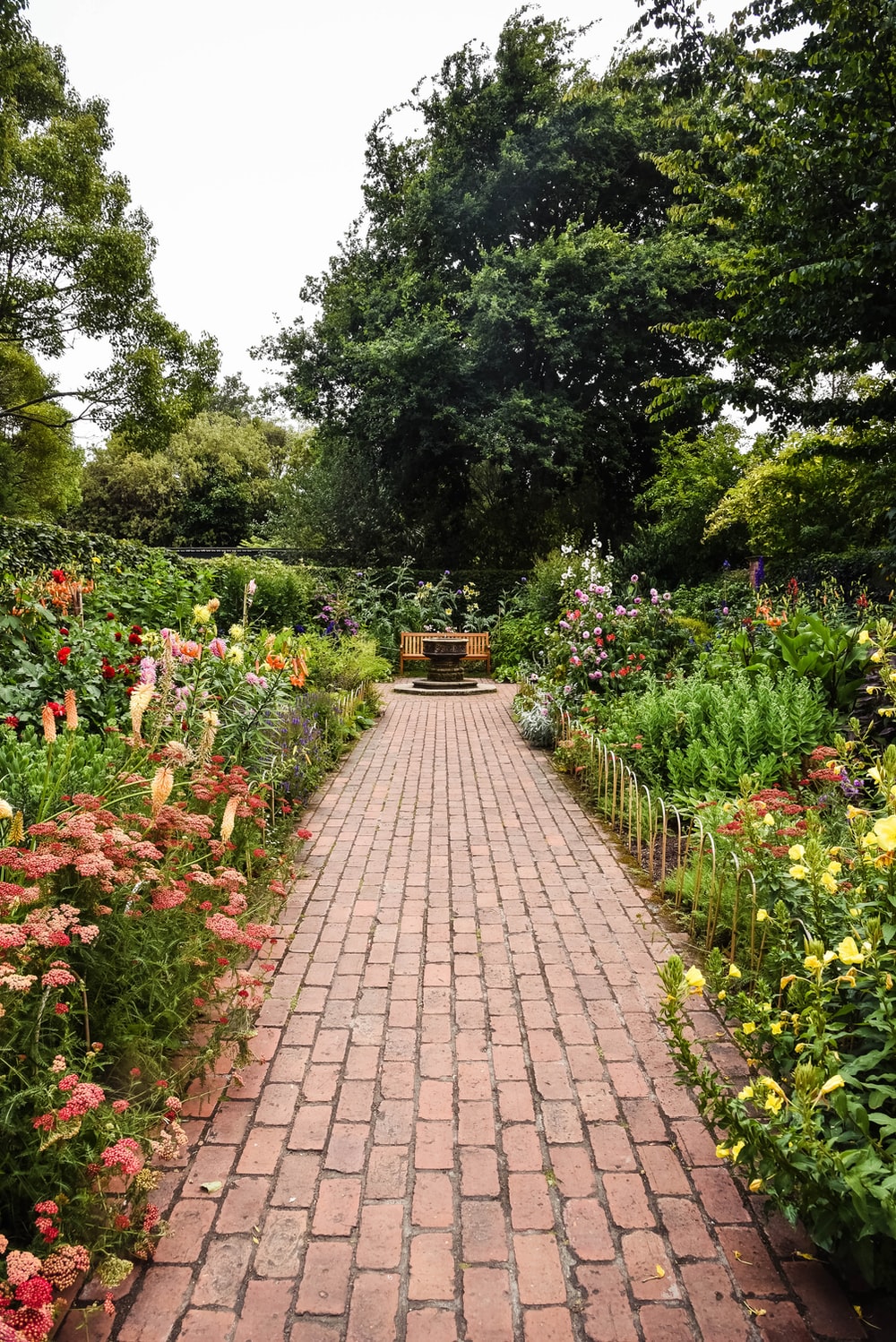 Garden Background